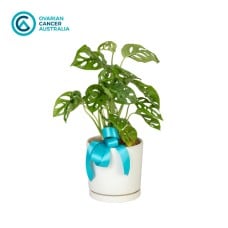 Survivor Plant