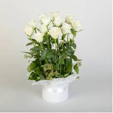 Rose Lover in White