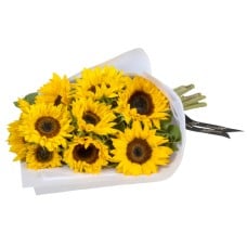 Sunflower Sunshine