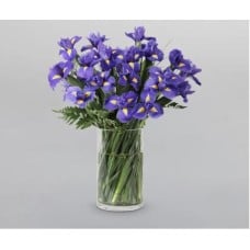 Purple Iris (Standard)
