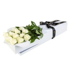 Romantic Roses in White