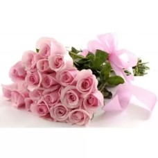 20 Soft Pink Roses (Standard)
