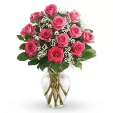 12 Pink Roses (Standard)
