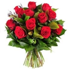 12 Red Roses (Standard)