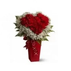 30 Red Carnations and White Babys Breath (Standard)