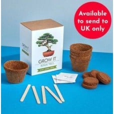 Bonsai Tree - Grow It Kit