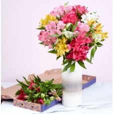 An Abundance Of Alstroemeria