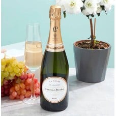 Laurent Perrier Champagne