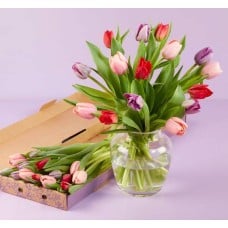 The Berry Bloom Tulips Letterbox