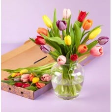 The Mother's Day Tulip Medley Letterbox