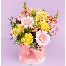 The Soft Summer Hatbox