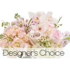 Designer's Choice(4)