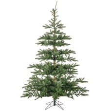Tree 9' Darnish Royal Fir Green 74"L X 74"W 2329T