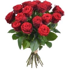 24 Red Roses