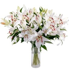 Large White Lily