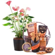 anthurium and gift basket (flowers and wine)