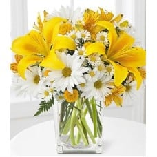 Yellow Lilies And Daisies (Standard)