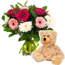 teddy bear and gerberas (Standard) — standard