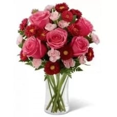 5 Pink Roses, 10 Carnations, 10 Gerberas (Standard)