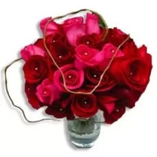 Red and pink roses