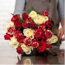 A Passion for Roses