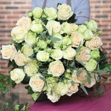 Roses dream