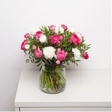 FIRST RANUNCULUS