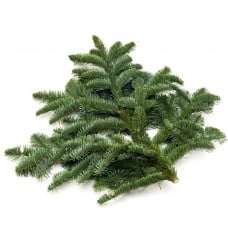 Foliage Bundle