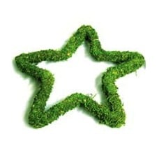 Padded Moss Effect Wreath Star (12 Inch)
