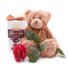 Plush Moments