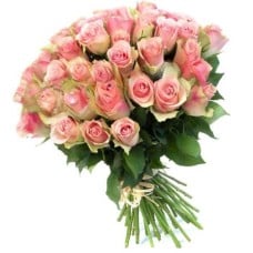 49 Ecuadorian roses 80 cm in assortment (Usual)