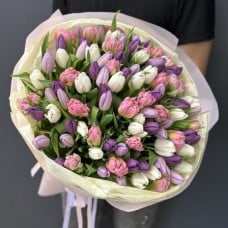 101 tulip mix (Usual)