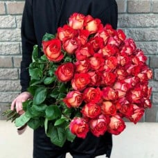 49 Ecuadorian Iguaza roses 80-90 cm (Usual)