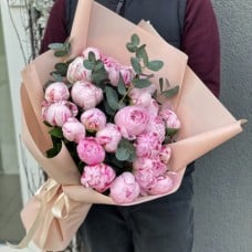 25 Dutch peonies Sarah Bernhardt with herbs (Usual)