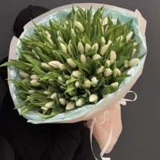101 white tulips (Usual)
