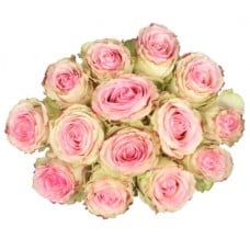 Bouquet Of 15 Esperance Pink Roses