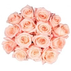 Bouquet Of 15 Engagement Pink Roses