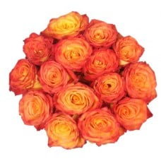 Bouquet Of 15 Yellow-Orange Roses