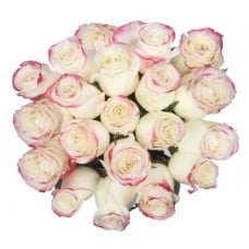 Bouquet Of 15 White Pink Roses Sweetnees