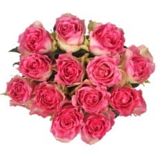 Bouquet Of 15 Malibu Pink Roses