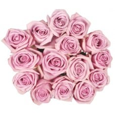 Bouquet Of 15 Cool Water Purple Roses