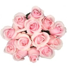 Bouquet Of 15 Pastel Pink Roses Titanik