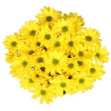 Bouquet Of Flowers 5 Spray Yellow Сhrysanthemums