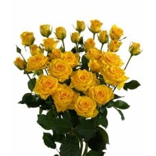 Round Bouquet Of 5 Yellow Spray Roses