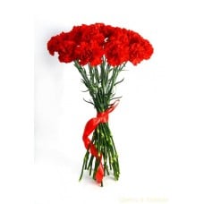 Bouquet Of 21 Red Carnations