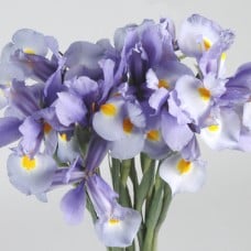 Flowers Bouquet "9 Blue Irises"