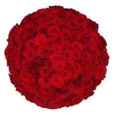 100 white roses | Florist