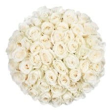 100 white roses | Grower