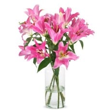 Beautiful pink lilies (Small)