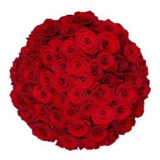 50x Red Naomi Roses